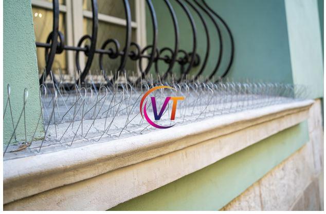 Office Pest Control: Safeguarding Workplace Environments