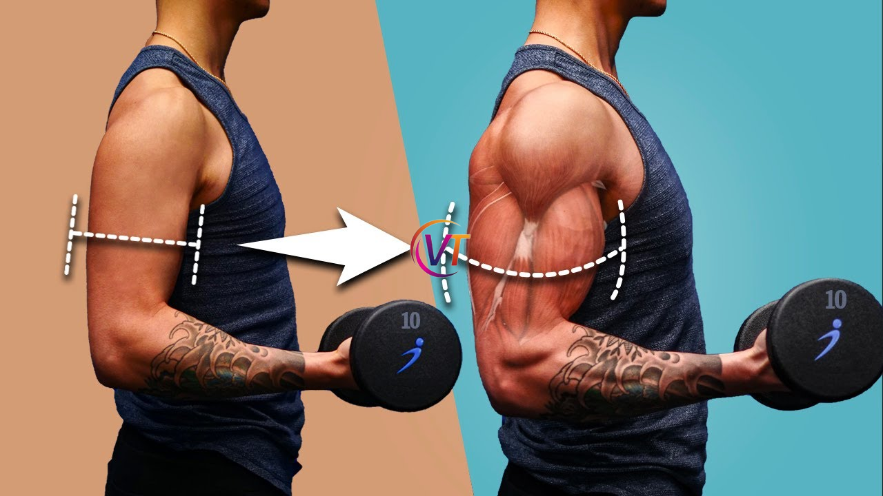 Make Muscles how to build muscle know tips to increase muscles