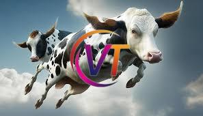 Moo-ving on Up The Hunt for the Elusive Bovine (A.K.A. Your Dream Cow)