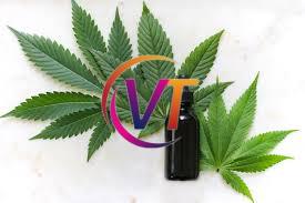 Explore the Largest Selection of Products in New England at Ceres Natural Remedies