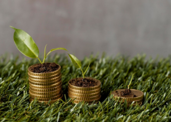 Key Principles of Sustainable Finance: A Beginner’s Guide