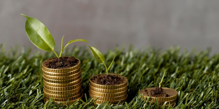 Key Principles of Sustainable Finance: A Beginner’s Guide