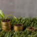 Key Principles of Sustainable Finance: A Beginner’s Guide