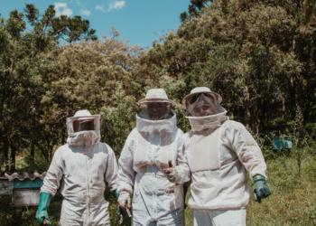 Shop Beekeeper’s Suits for Sale: Safety and Style