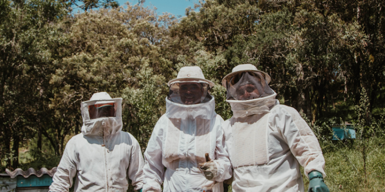 Shop Beekeeper’s Suits for Sale: Safety and Style