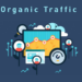 Organic Traffic