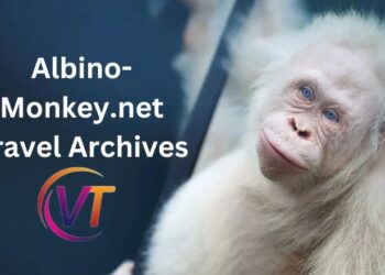 Albino-Monkey.net Travel Archives