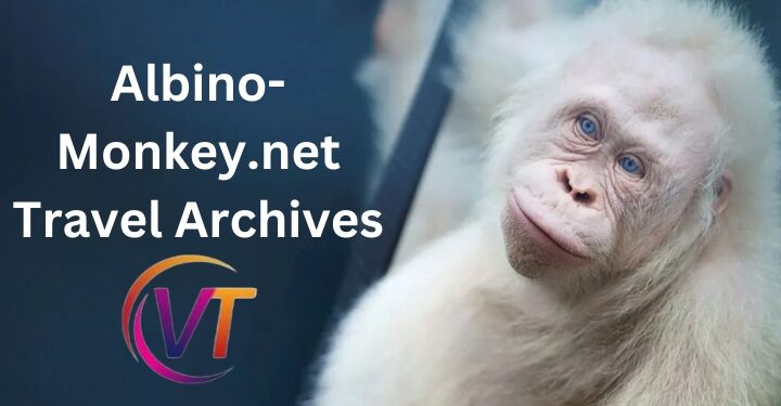Albino-Monkey.net Travel Archives