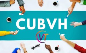 Cubvh