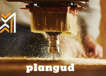Plangud: What Is It and Why Should You Care?