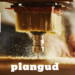 Plangud: What Is It and Why Should You Care?