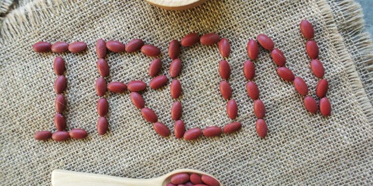 Supplements for Anaemia: Iron Gummies, Benefits, Dosage & More