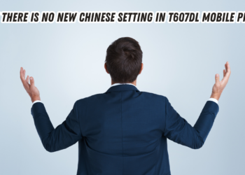 Why There Is No New Chinese Setting in T607DL Mobile Phone