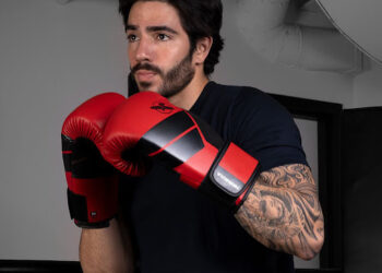 Hayabusa Boxing Gloves