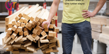 Exploring poachers wheel of time lumber elayne