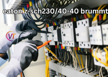 Why Does My eaton z-sch230/40-40 brummt Make a Buzzing Noise?